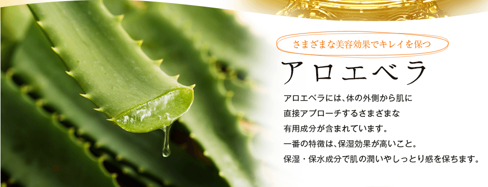 アロエベラ